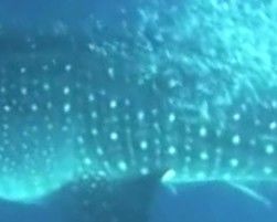 33b6d841-8b30-4986-8554-65f245f33ebb