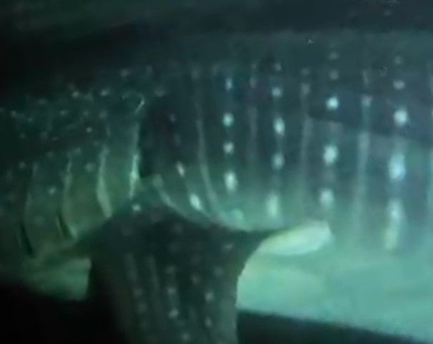 894d4383-5902-40ed-9a41-cf7378c7f46a