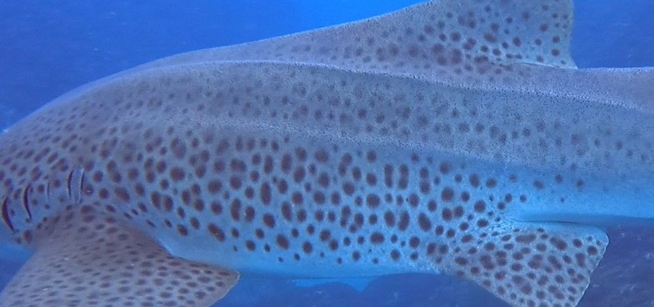 b829565e-133a-4185-9b65-fa718e818870