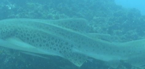 7ae45c62-645a-461a-abd8-f81b61ccab6d