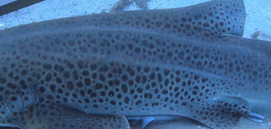 e450915a-9eba-4d67-9524-b9f9a4146cb2