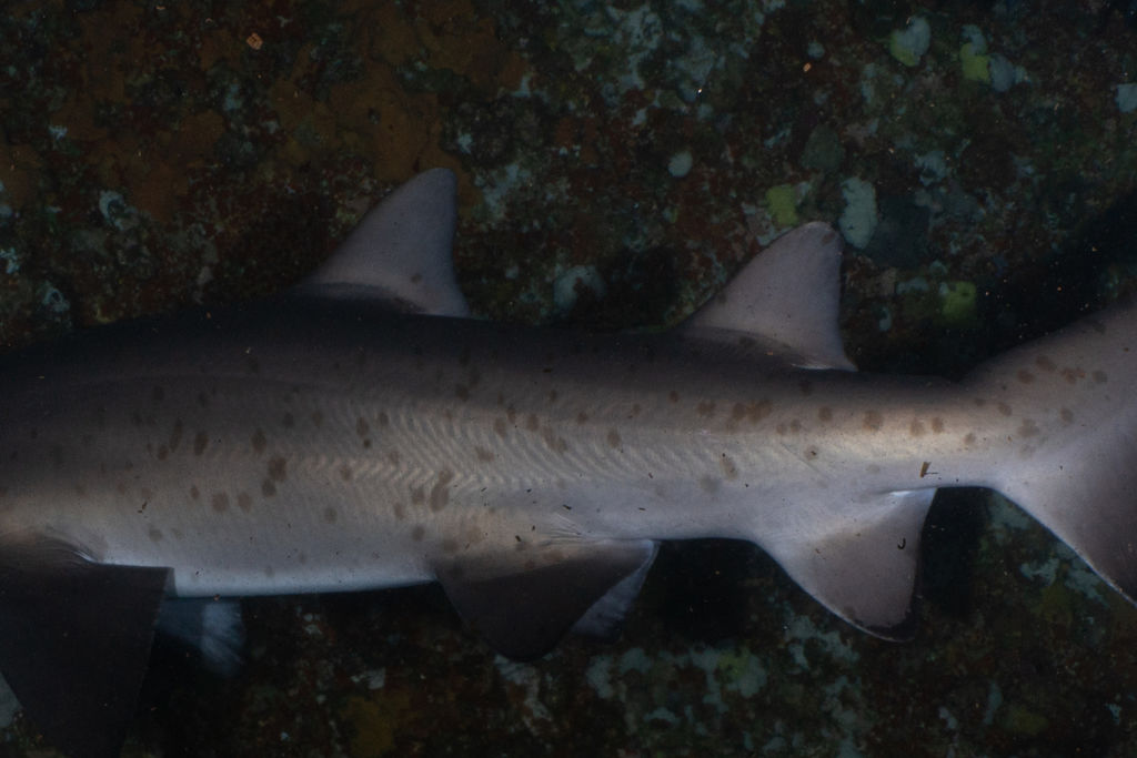 49a77900-d23c-42f9-915e-4376887be56e