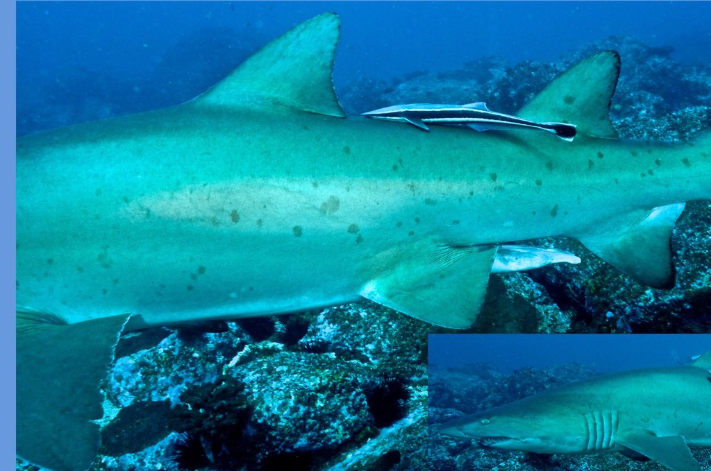 4819673c-905a-4327-91e5-5f21ac8a2553