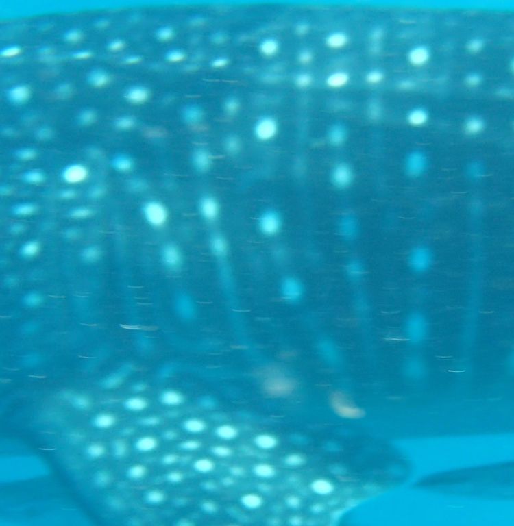 b74238a2-2a04-468f-99b1-60d52784fc12