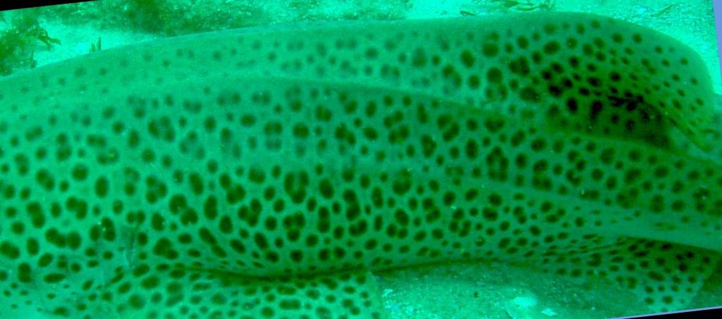 9e411266-e9ac-4cce-befe-8da2618e69f0