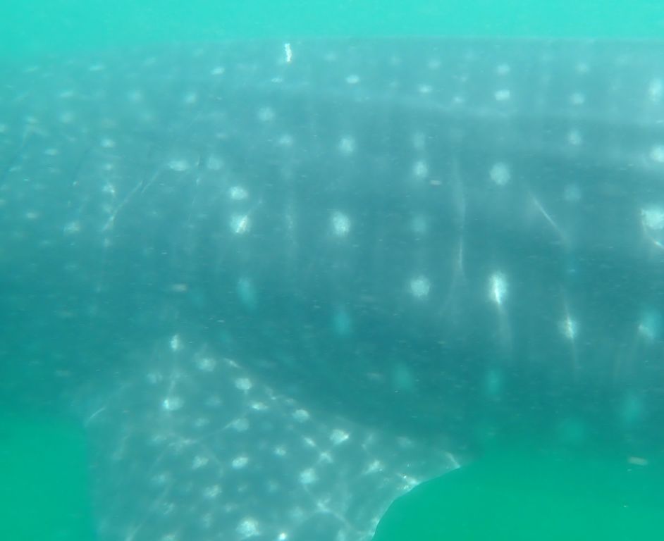 8293c534-2446-4127-9bbd-8bb411971cfc