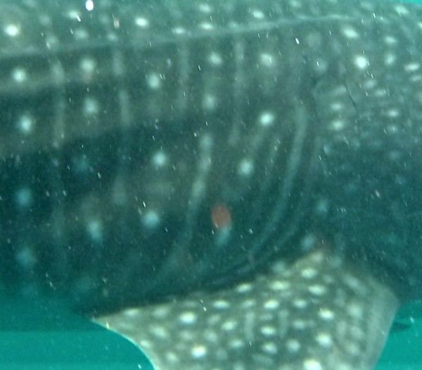 8cf1f9fd-a14f-4877-892d-0e36e17c9f68