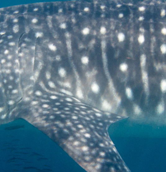 75c310d0-af9b-4a75-a5b9-417ec8b38675