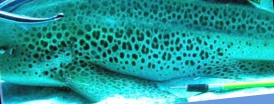 c3da119d-ca71-4f7e-b826-3b216c691e83