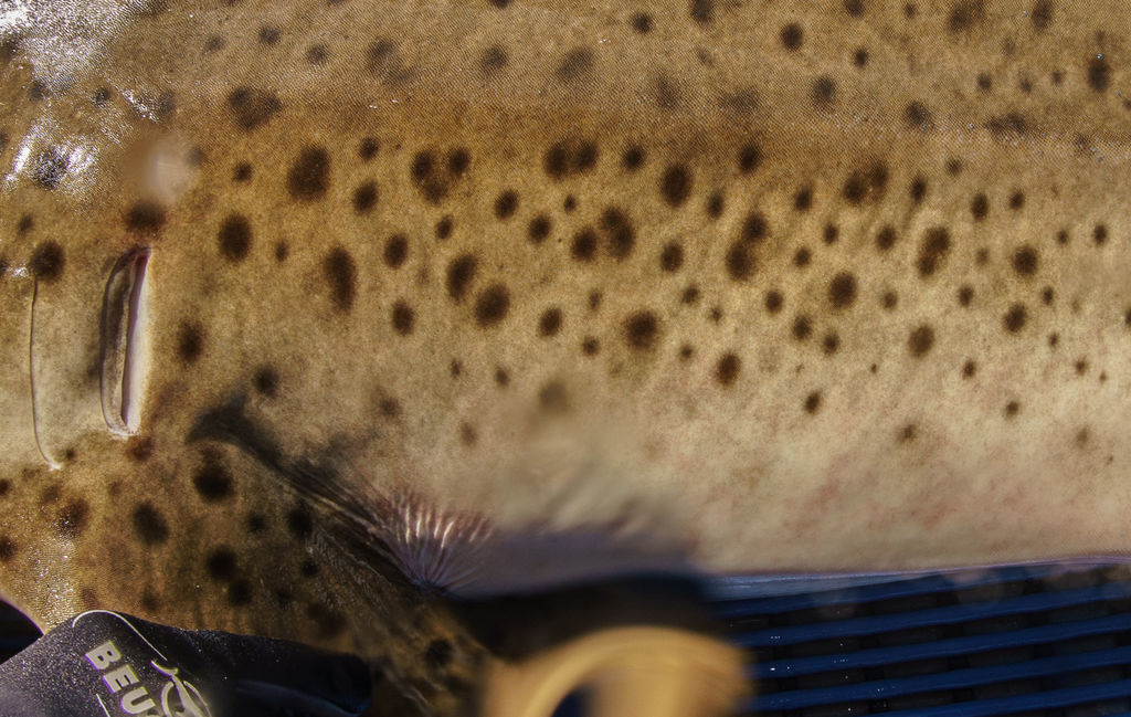 8c840f7b-5ce7-4013-80c4-fb786c89f81e