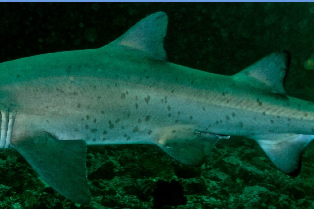 607bad38-3b45-4d84-8a48-62ce50130adb