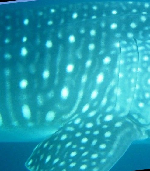 ccc683e4-5833-45db-a04f-666bc1279aa6