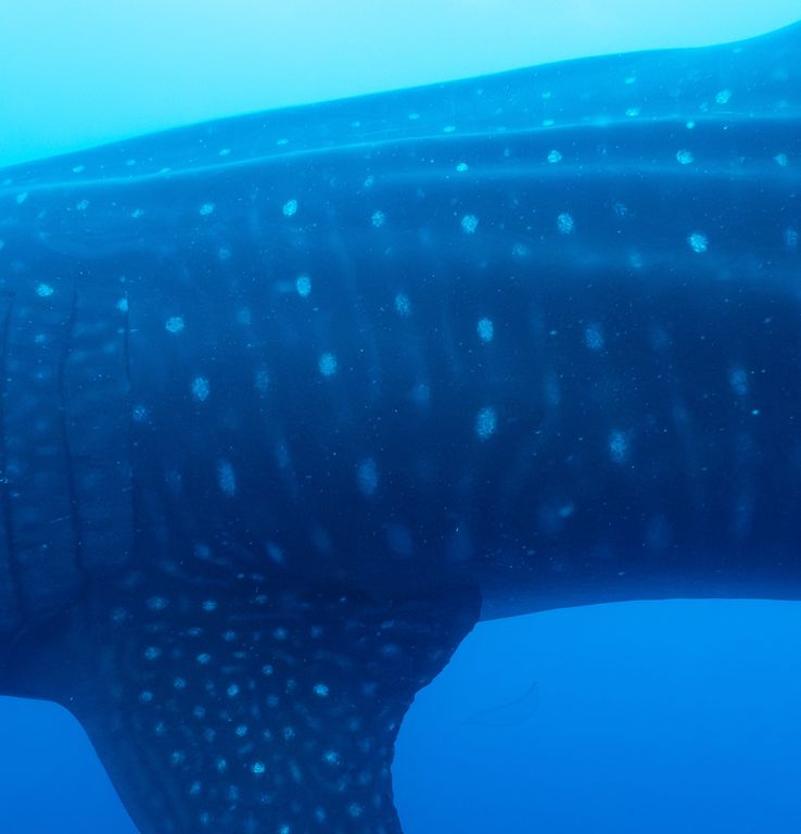 85786d84-672d-4dba-9441-47ce0a658d48