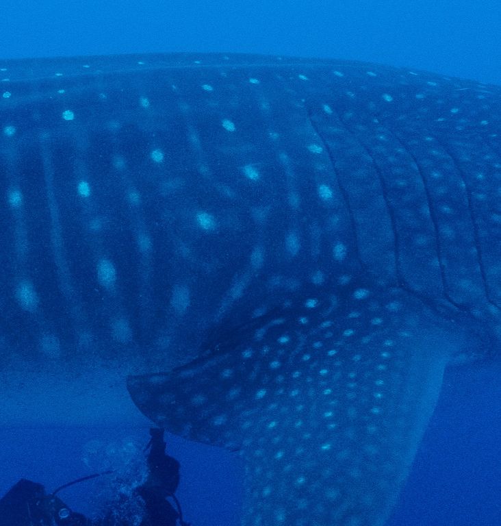 85786d84-672d-4dba-9441-47ce0a658d48