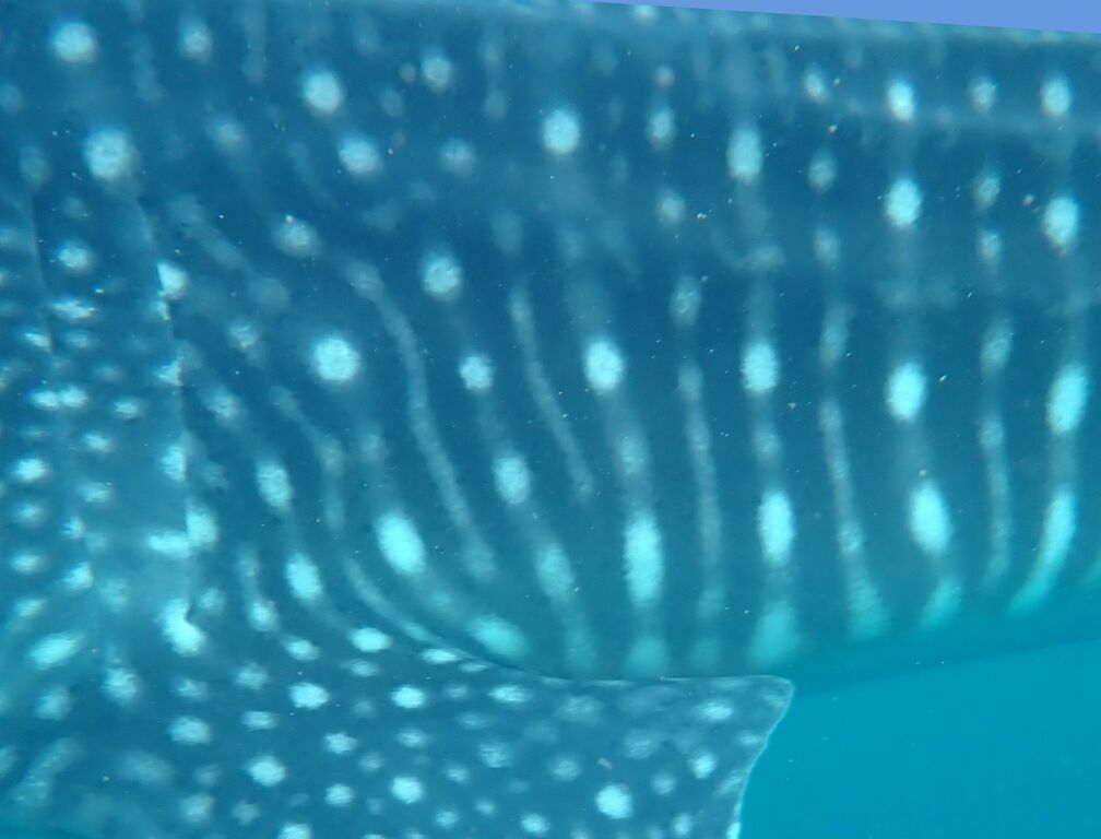 bc3303a4-dff6-413d-bf6b-c3d536a82097