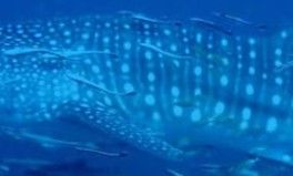 0faeb7d3-6674-42ec-a4dd-6ccc8a0a109d