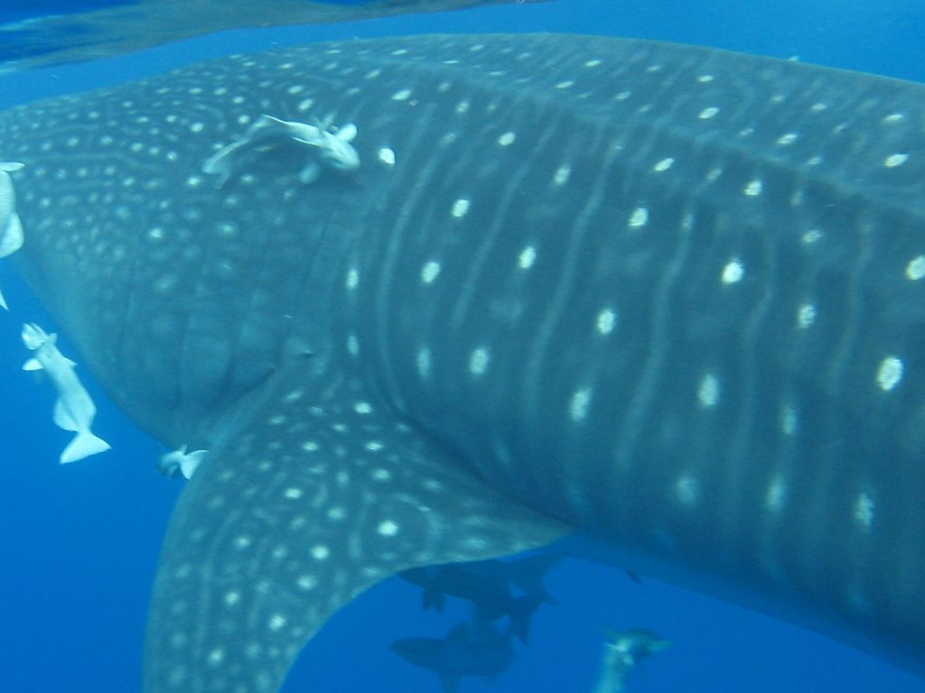 df59ec5c-05aa-40b1-8211-c0045a903d98