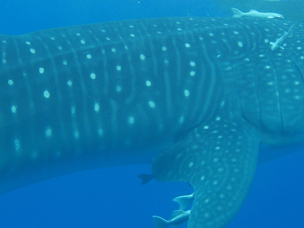 df59ec5c-05aa-40b1-8211-c0045a903d98