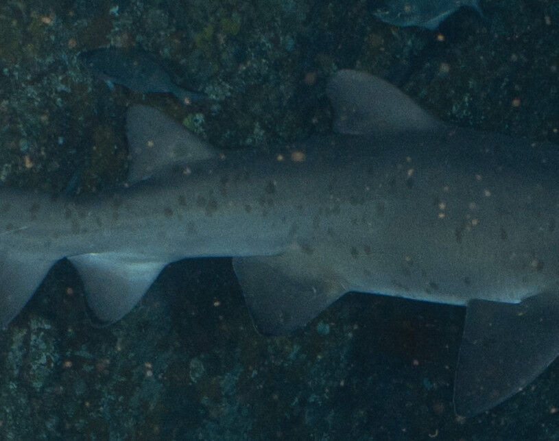 88e880ec-9a82-4d5b-b581-6a37e1f44167