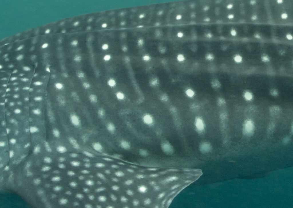 dd7b4ac9-881c-426c-9f8f-e7f8769aa352