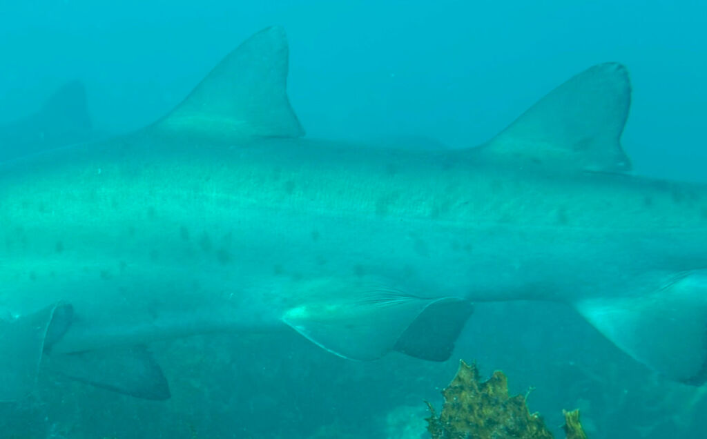 858eec47-7cff-4ecd-be4d-ed5a1cd687e1