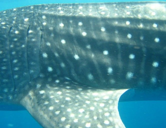 b88ef1a8-5cd9-480c-b194-dcf2188b6f2e