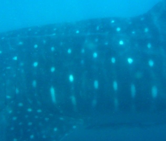 05f1d90f-648c-4955-9c3d-567c536ffb4a