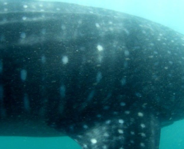 05f1d90f-648c-4955-9c3d-567c536ffb4a