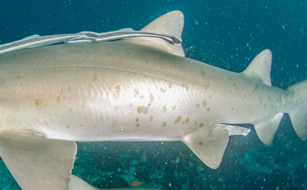 44916a18-4b51-4afe-aa85-5153d6b4d35c