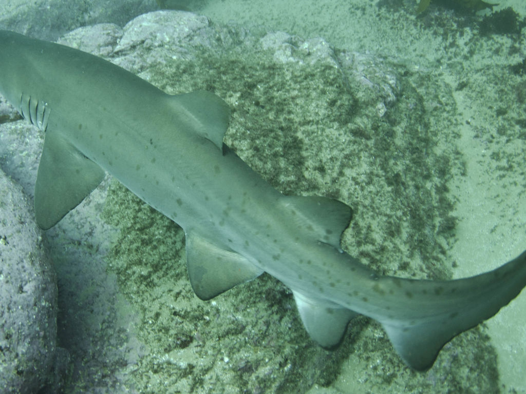 60704ed9-6ef1-4f73-b052-82cdbde0f2c4