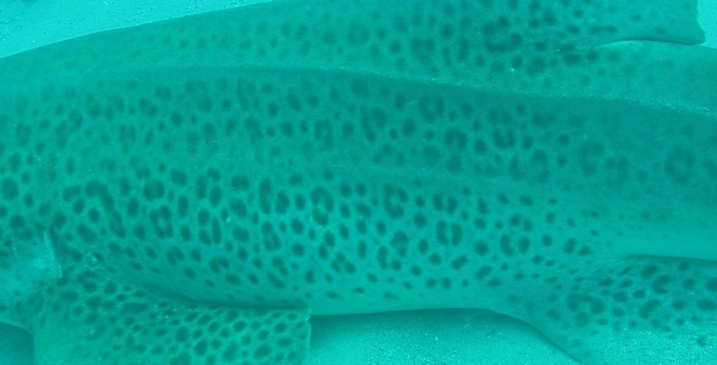 2b30eae3-8846-472c-babd-02403356bcb1