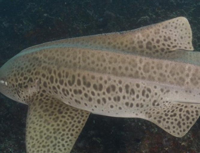 2545438b-3cc1-46a5-b122-d341f8eea9db