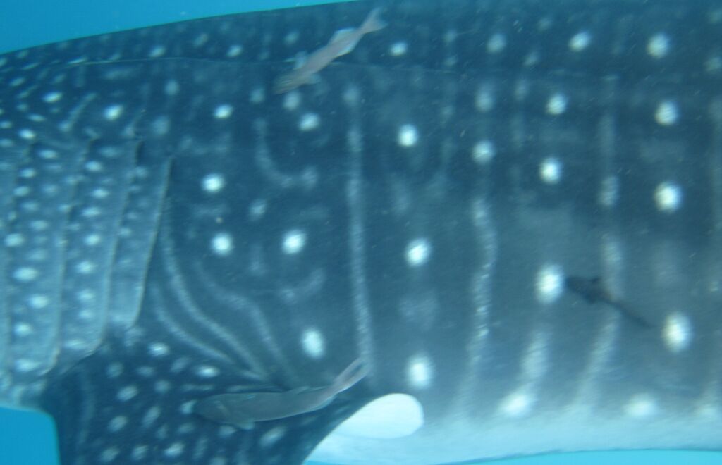 36beea10-8e0d-4b8b-895d-75fd8eb30851