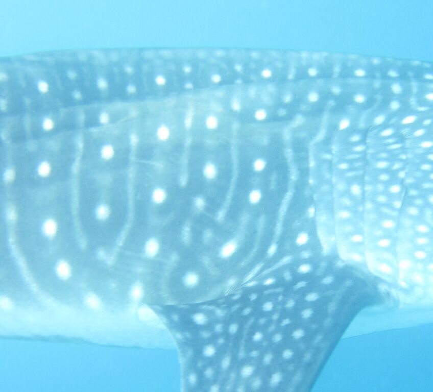 36beea10-8e0d-4b8b-895d-75fd8eb30851