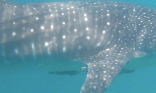 4198707c-1b29-4745-9f22-250e3e469ce2