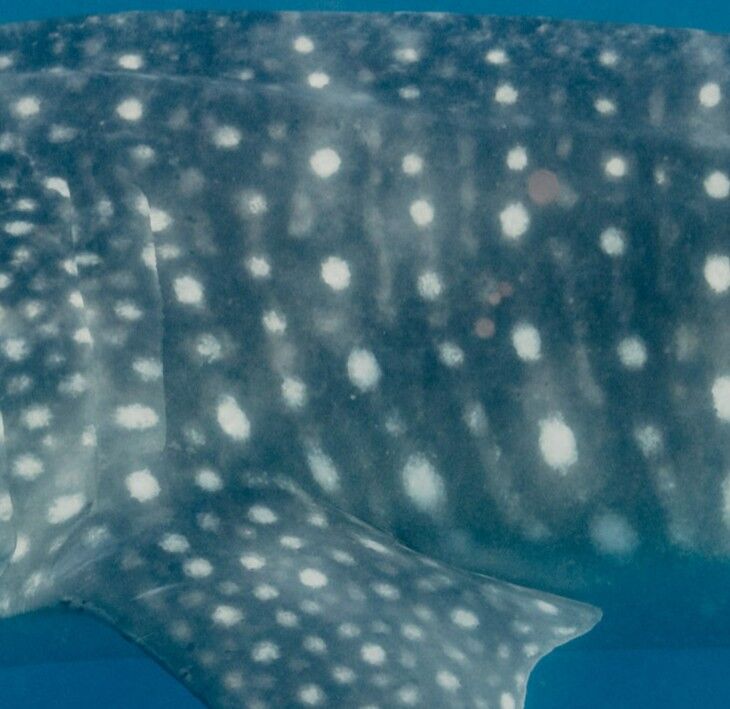 952fc823-6de4-46a2-a1b7-90334bd733c2