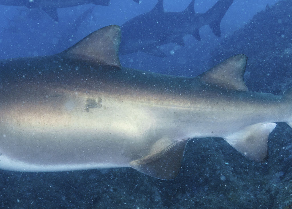 57c7c1ca-3830-4cf3-bb0f-7372f662bdc0