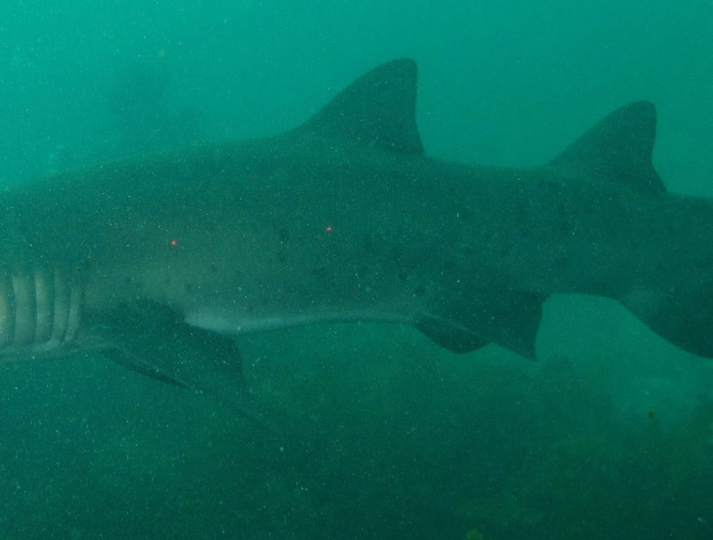 bcbfc54a-e7ef-426e-a7e4-d278dabd5ffa