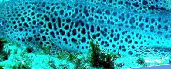 7221d52a-aaa6-458c-b98c-e092b8384e04