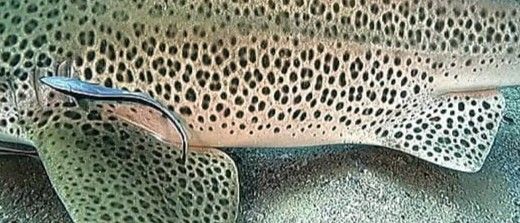 bc88fa63-7eac-44d5-9e1e-511e0adc490e