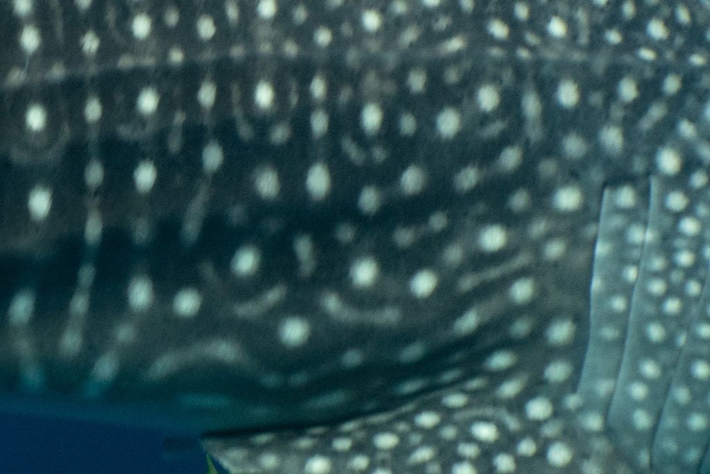 180a5677-999e-4484-a9cd-49d9876dba16