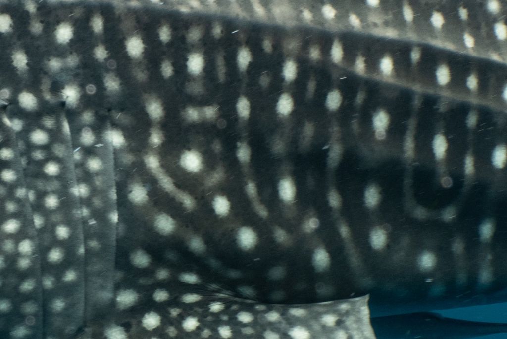 180a5677-999e-4484-a9cd-49d9876dba16