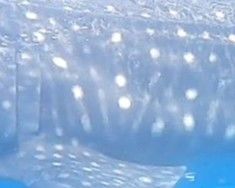 96d0478e-deec-460b-9eaa-267cece47ba5