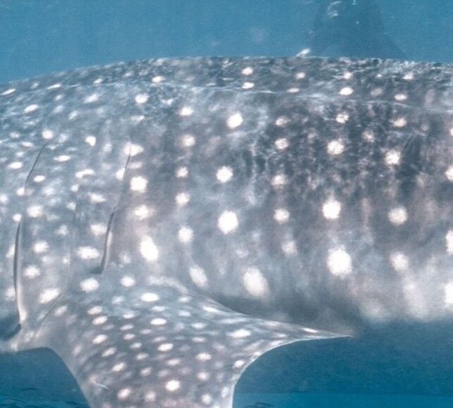 952fc823-6de4-46a2-a1b7-90334bd733c2