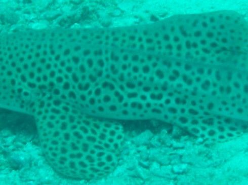 5ef5f265-981e-4ec7-be30-af64ee5d043e