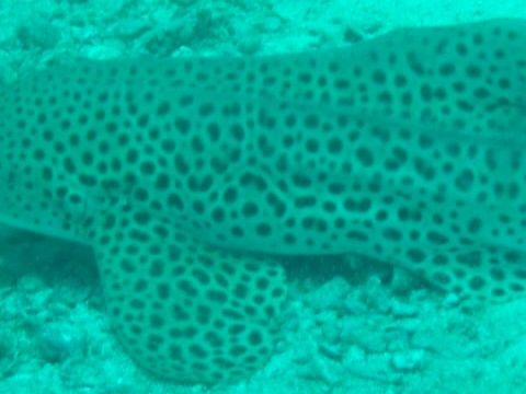 5ef5f265-981e-4ec7-be30-af64ee5d043e