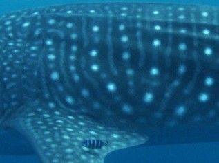 9a362f03-e22d-4a26-b2e0-9dc4ffb9d634