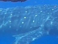 24756729-b16d-4ec5-abb0-8f8d76c296a3