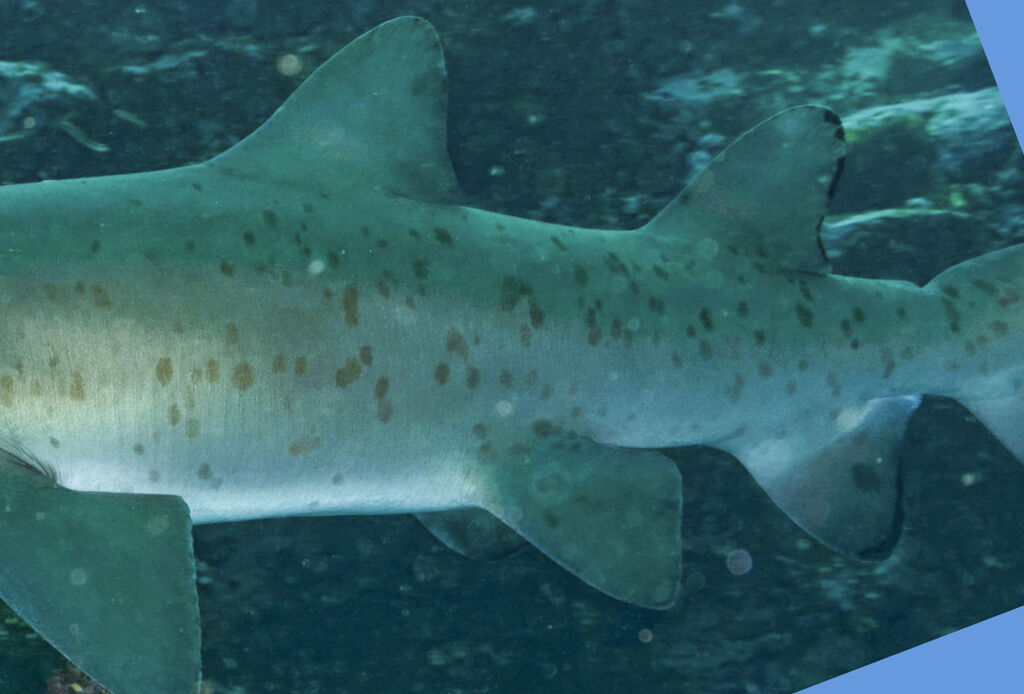 3f19b0f7-4ae6-444f-ac56-7112d00cabef