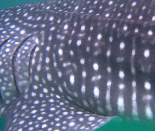 01d8d566-63da-409d-949b-e5b4d45adf03